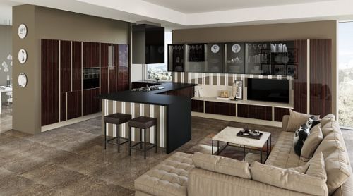 Кухни гостиные