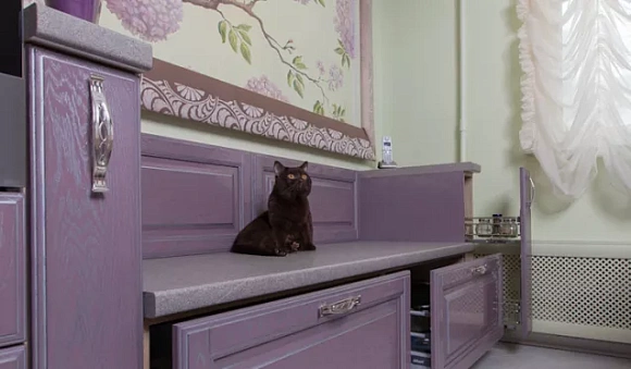 Фиолетовая кухня в Егорьевске