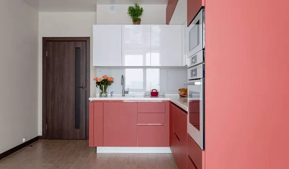 Красная кухня в Санкт-Петербурге